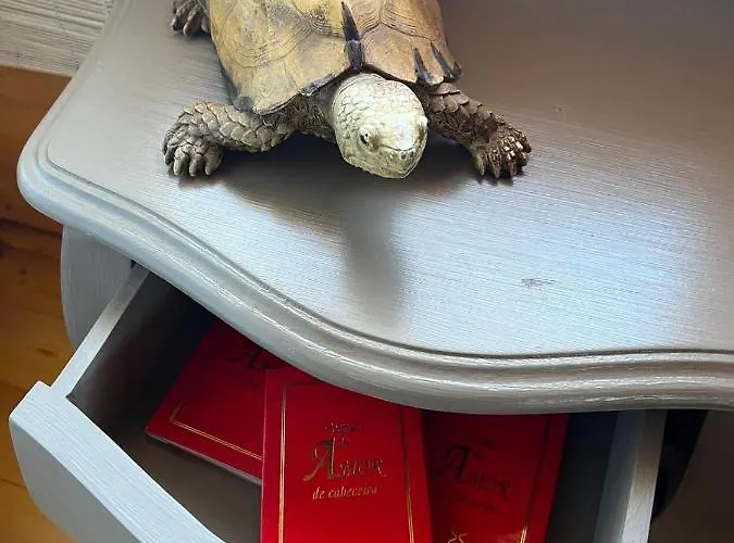 Vale Do Rossim Eco *